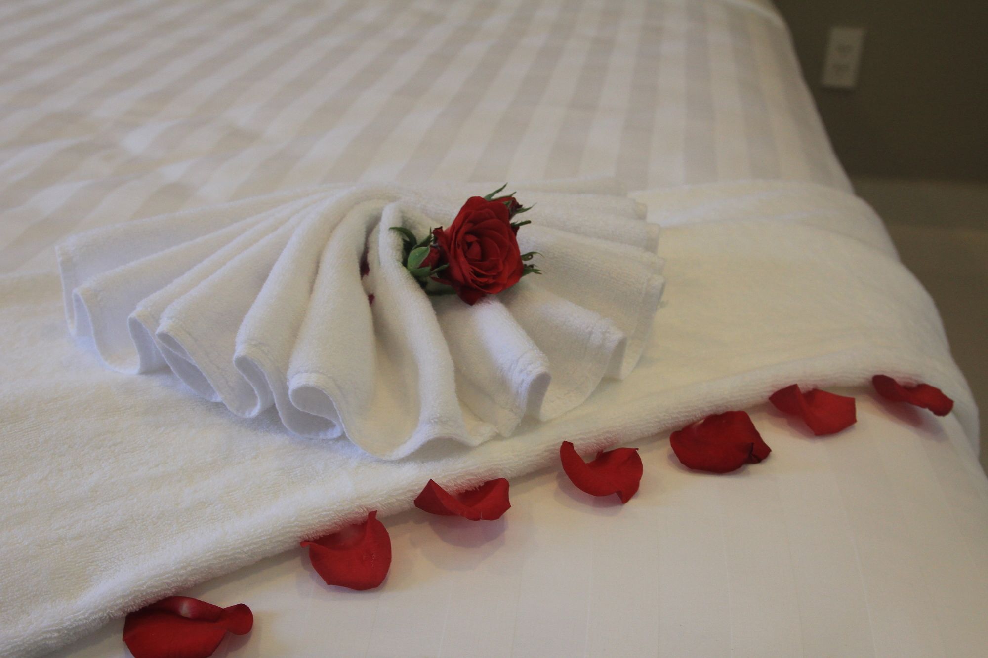 Vanda Hotel Фу Куок Екстериор снимка